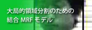 大局的領域分割のための結合MRFモデル・抵抗ヒューズネットワークとそれらのLSI化