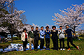 150402hanami_thumb.png